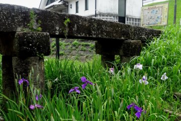 <p>The buildings along the river are either all original or were built in the traditional white-washed style</p>