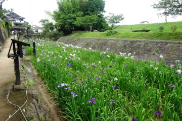 <p>Weekdays are best to visit if you don't like crowds, but there is more of a festival atmosphere on the weekends</p>
