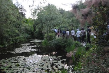 Monet-inspired Pond at Chichu Museum