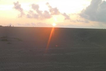 the dunes