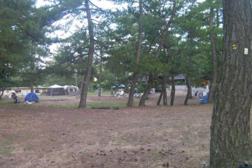 a pleasant camp