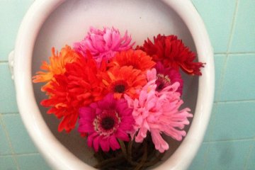 <p>The two ladies show their creativity in the most unlikely places.</p>