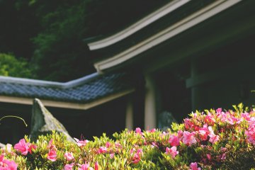 <p>One of the gardens has gorgeous flowers.</p>