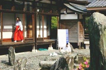 <p>After paying for a ￥500 ticket, you can explore the inner grounds of the temple.&nbsp;</p>