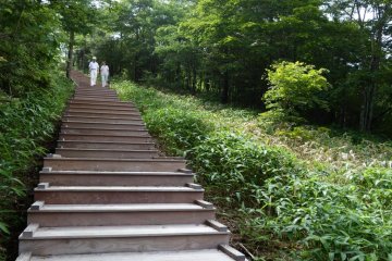 Wooden steps lead up to the field of these day lilies