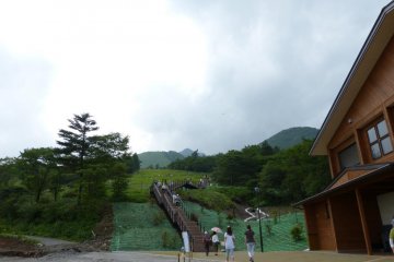 There is a rest house near the field