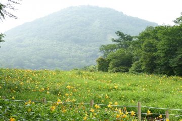 What a beautiful mountain!