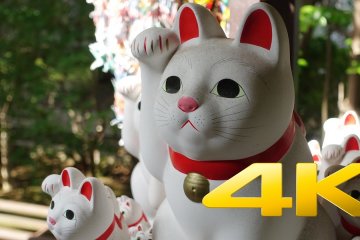 Maneki Neko at Gotokuji Temple