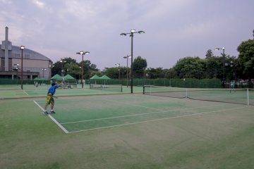 <p>Look at how huge each court is. And there are 10!</p>