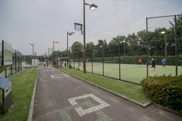<p>This is really the largest open tennis court facility i've ever seen.</p>