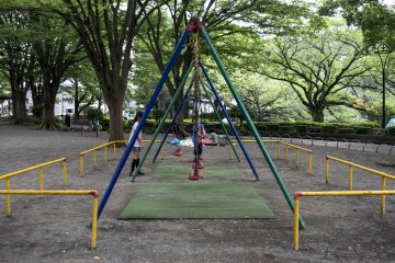 <p>Children playing at one of many swing sets and playgrounds in the park.</p>