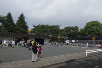 <p>... just as these really young drivers queue up eagerly for the next session. There are different vehicles for toddlers and children of different ages.</p>