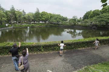 <p>On this Saturday afternoon, families with young and old came to spend an idyllic&nbsp;afternoon at&nbsp;Kanuma&nbsp;Park.</p>
