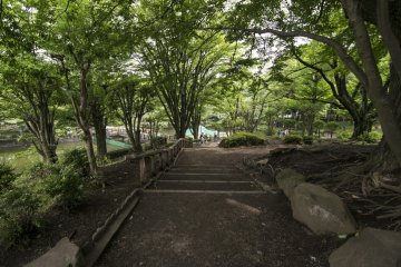 <p>Down through these steps, and to the lake.</p>