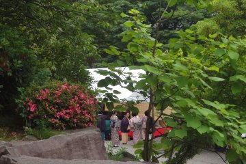 Some&nbsp;people in kimono&nbsp;come to the park to enjoy the tea ceremonies
