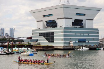 <p>Anyone who wants to watch can get a 'front row' view of the event.</p>