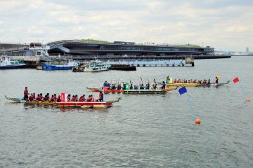 <p>Races are made up of three teams &ndash; each boat contains 15&ndash;20 competitors.</p>