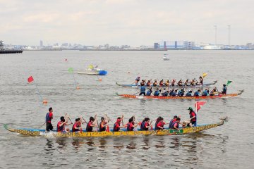 <p>The race course is 260 meters long and runs parallel to the shore.</p>