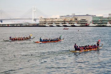 <p>It is also an opportunity to teach Japanese people about the culture of Hong Kong.</p>