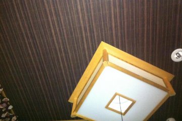 Ceiling Light