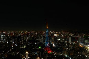 <p>Tokyo city view from 52nd floor</p>