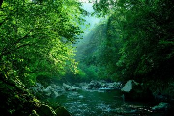 Fishing at the None-Gawa Creek