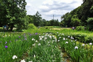 Secret of Jindai Botanical Park