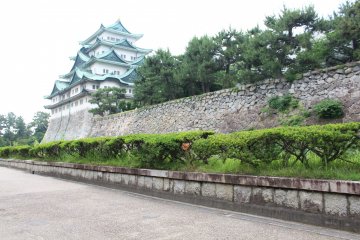 <p>The triangular shapes and color are hypnotic</p>