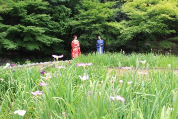 <p>A couple that chose the wonderful garden as a setting for their pictures</p>