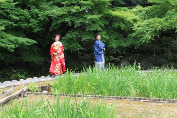 <p>A romantic scene amongst a backdrop of pleasant nature</p>