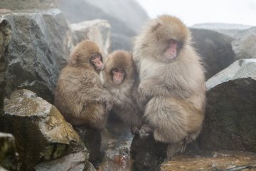 <p>A family huddles together on the edge of the water</p>