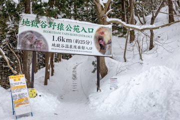 <p>The entrance to the park</p>