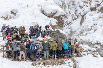 <p>Swarms of tourists flock to the park every day to see the monkeys</p>