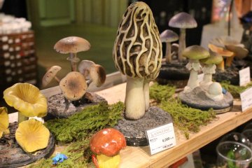<p>C&eacute;l&eacute;bration du champignon &agrave; la section scientifique</p>