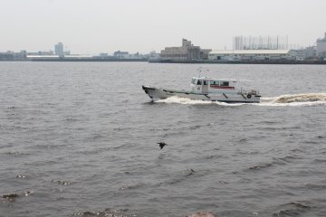 <p>A good place to spend the day watching boats coming in and out</p>