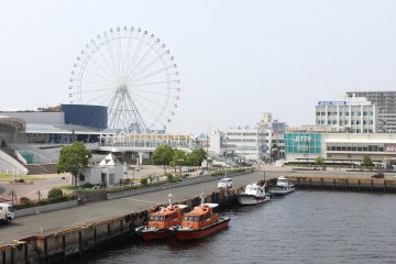 <p>The Ferris wheel that lights up at night</p>