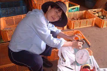 Packing the vegetables to ship Japan-wide