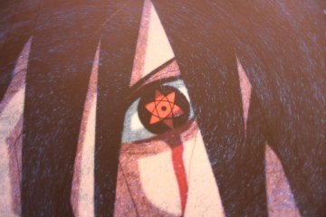 <p>El ojo</p>