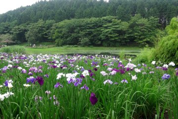 <p>The lake is in a pristine mountain setting</p>