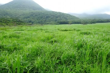 <p>Even in the mist and fog, which occur frequently here, this is a beautiful environment</p>