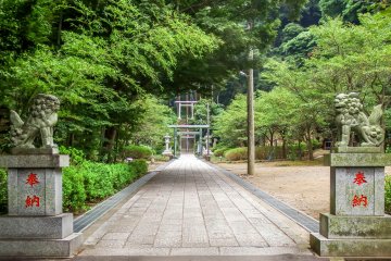 <p>Looking back in the opposite direction</p>