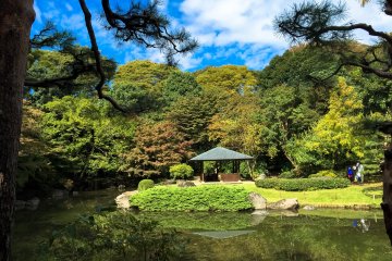 <p>Views from the Japanese Garden</p>