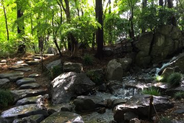 <p>Hidden Waterfalls</p>