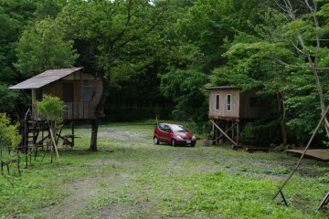 <p>Neighboring Treehouses</p>