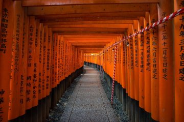 Fushimi Inari in the evening