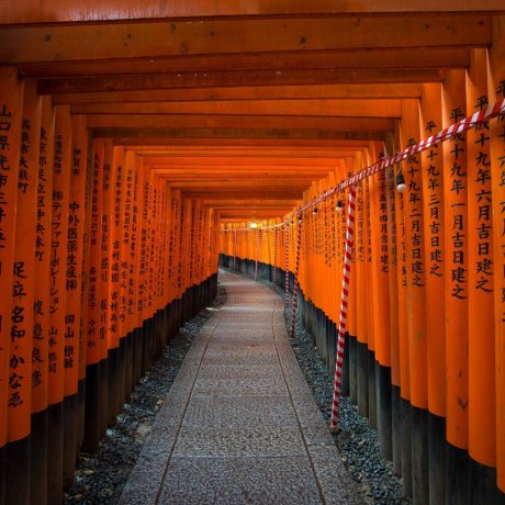 Japanese Language