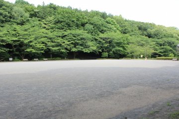 <p>The park is very spacious and makes for a great walk</p>