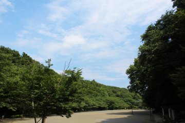 <p>A clear sky and lush green trees</p>