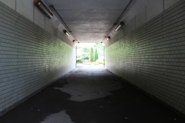 <p>There is always light at the end of the tunnel!</p>