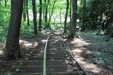 <p>One of the many paths surrounding the park</p>